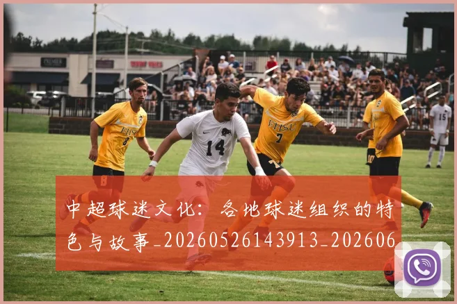 中超球迷文化:各地球迷组织的特色与故事_20260526143913_20260607160813
