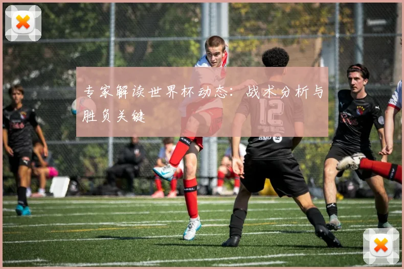 专家解读世界杯动态:战术分析与胜负关键