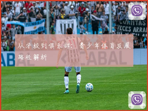 从学校到俱乐部:青少年体育发展路径解析