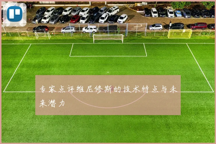 专家点评维尼修斯的技术特点与未来潜力