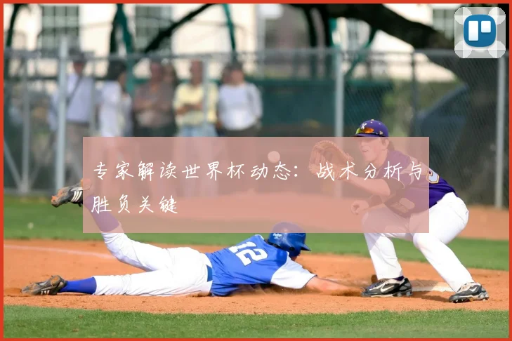 专家解读世界杯动态:战术分析与胜负关键